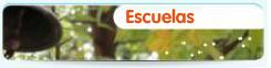 Acceder