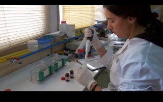 La Agencia Santafesina de Ciencia, Tecnología e Innovación prorrogó las fechas de cierre de dos convocatorias