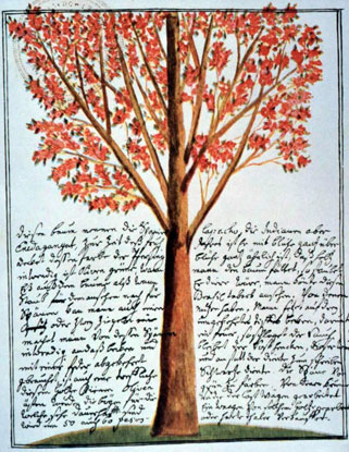 Base de datos Fotográfica Florián Paucke