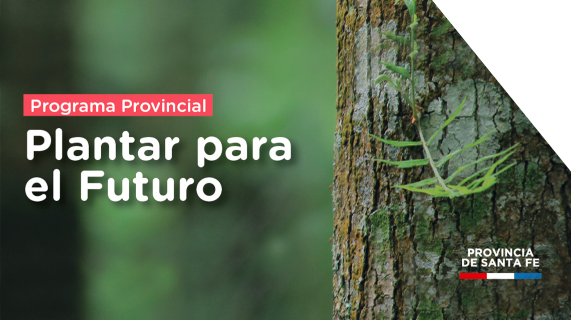 Municipios y Comunas pueden sumarse al Programa "Plantar para el futuro"