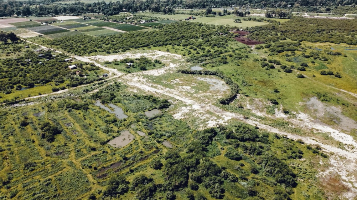 2024-12-10NID_281903O_1