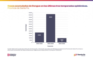 Dengue: con una estrategia integral en toda la provincia, Santa Fe registra un 85 % menos de casos