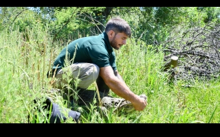 Ambiente: se concretó en Santa Fe la reinserción de Ricardito, el yacaré que pasó más de 10 años en el Instituto Malbrán