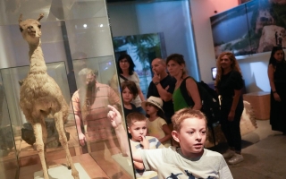 Noche de Museos Abiertos en Rosario: más de 6.000 personas pasaron por los espacios culturales provinciales