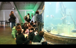 El Acuario del Río Paraná abre la convocatoria 2026 para visitas educativas