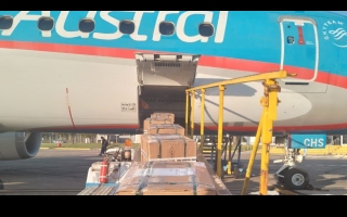 Producción santafesina al mundo: una firma regional exportó fermentos lácteos a Paraguay desde Sauce Viejo