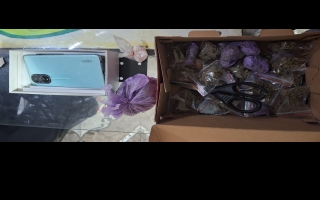 Rosario: allanamiento por asociación ilícita y microtráfico dejó tres detenidos, cocaína, marihuana y un arma secuestrada