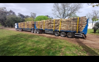 Santa Fe reduce costos logísticos: Papel Prensa ya opera con bitrenes de 75 toneladas en la Ruta 94