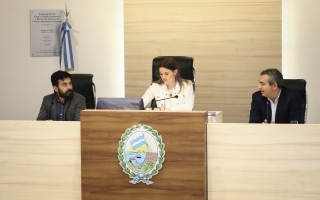 La provincia participó de la audiencia por la autonomía Municipal en el Concejo de la ciudad de Rosario